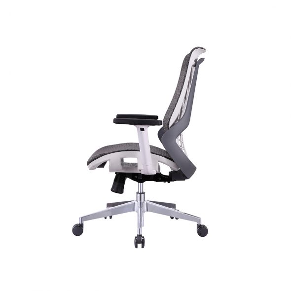 Web Task - Image 4