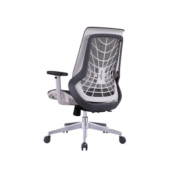 Web Task - Image 5