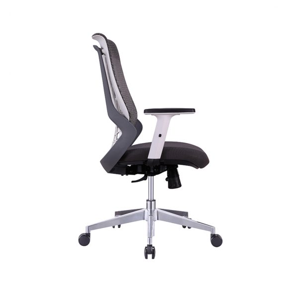 Web Task - Image 6