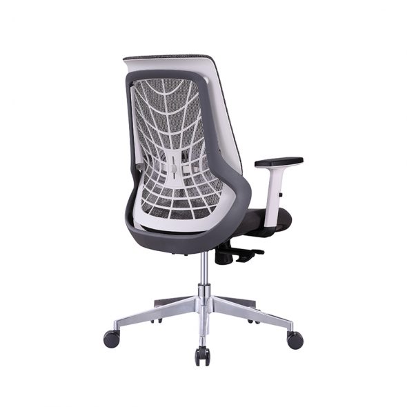 Web Task - Image 7
