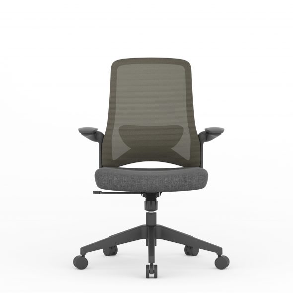 DOLPHIN Task - Image 3