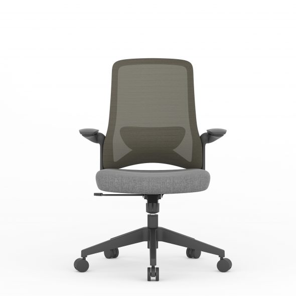 DOLPHIN Task - Image 4