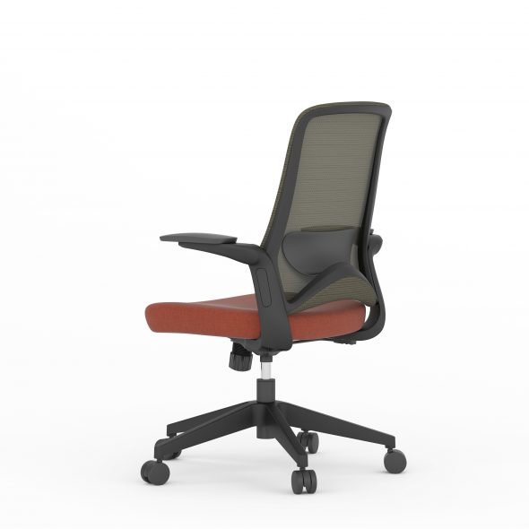 DOLPHIN Task - Image 6