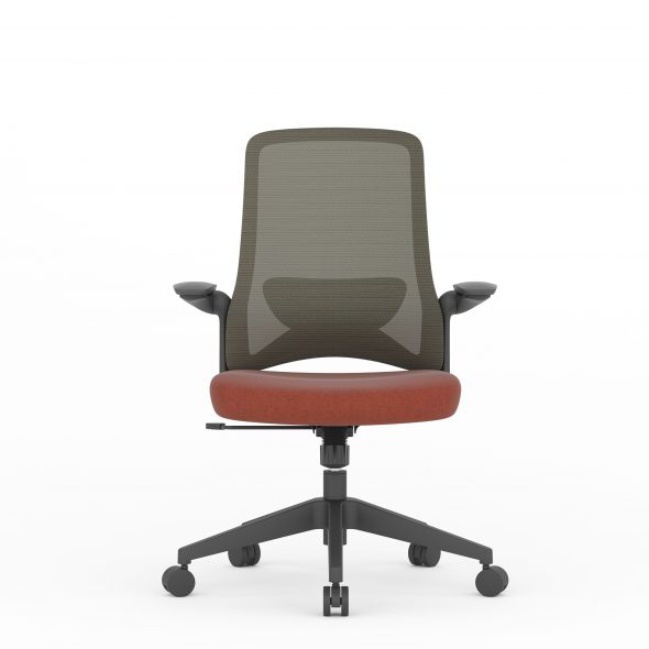 DOLPHIN Task - Image 7