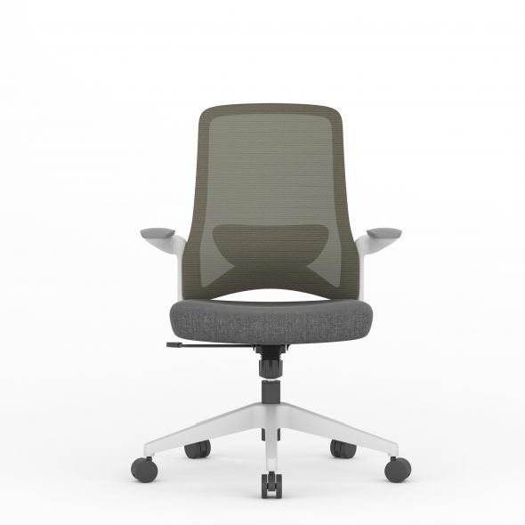 DOLPHIN Task - Image 9