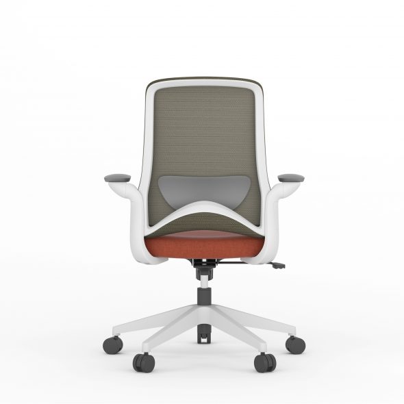 DOLPHIN Task - Image 10