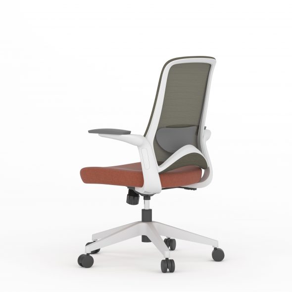 DOLPHIN Task - Image 11