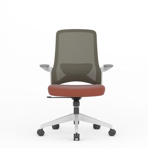 DOLPHIN Task - Image 12