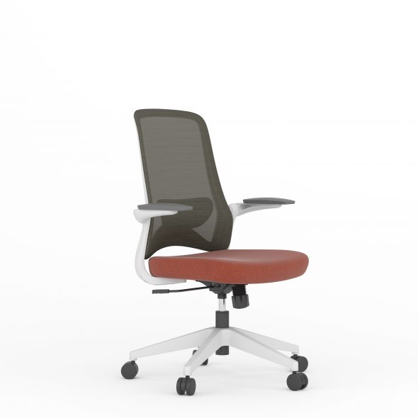 DOLPHIN Task - Image 2