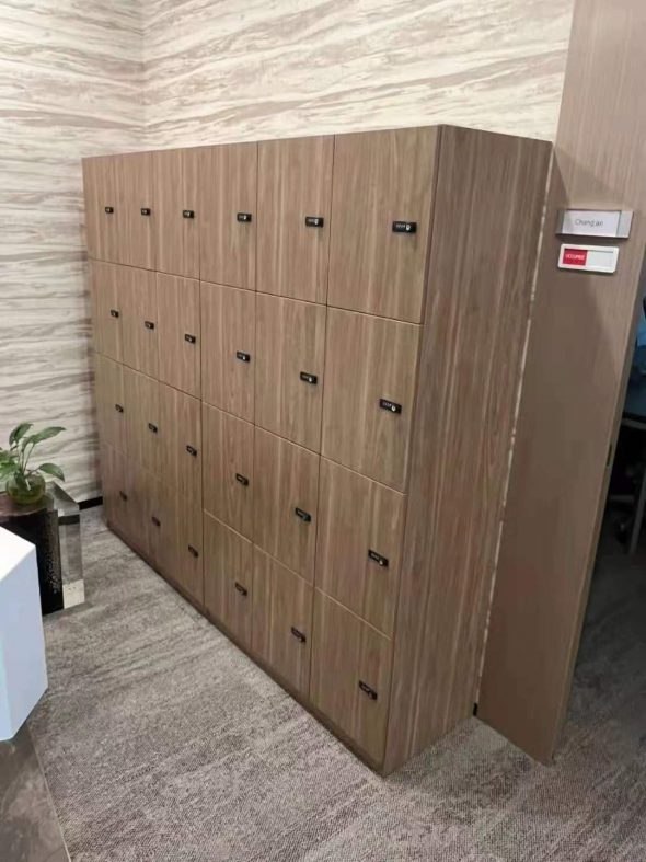MFC Locker - Image 4