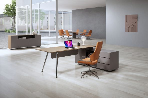 Veneer Low Cabinet - Image 15